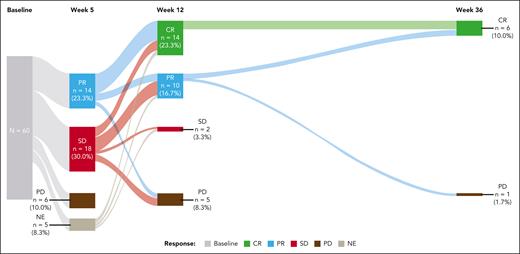Sankey plot of responses by independent central review at weeks 5, 12, and 36. Deeper responses were observed at week 12, with 8 of 14 patients with PR at week 5 achieving CR, and 3 of 14 maintaining PR; 4 of 18 patients with SD at week 5 achieving CR and 6 of 18 achieving PR. Additionally, 2 patients with PR at week 12 achieved CR at week 36.