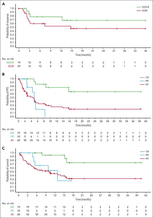 Time-to-event outcomes. DOR and DOCR by independent central review (ICR) (A), PFS by response by ICR (B), and OS by response (C). DOCR, duration of complete response.