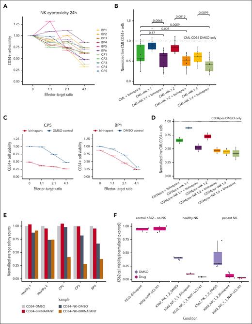 Effects of birinapant on NK cells in primary samples from patients with CML. (A) Lineplot of NK-cell cytotoxicity at different E:T ratios in 5 CP and 6 BP patient samples. E:T ratio of 0 represents a condition containing no NK cells, only target CD34+ CML cells. CD34+ counts have been normalized to this no-NK control. (B) Box plot showing drug sensitivity profiling of primary CML CD34+ cells’ sensitivity to NK cells at different E:T ratios with and without drug treatment ex vivo. Dots represent normalized CML CD34+ cells of all CP and BP patients after 24-hour coculture with NK cells. Median, interquartile ranges, minima, and maxima are shown. Cells are normalized by dividing average of the 3 technical replicates for each condition from each patient by the corresponding average of CML cells–only condition for each patient. Control CD34+ patient cells are represented by the dashed line. P values have been calculated with a paired t test. (C) Lineplot of CD34+ cell viability of 2 patients at different E:T ratios, 1 (left) being highly sensitive to birinapant treatment alone, and the other (right) being resistant to birinapant treatment alone. 0 represents control, no NK cells. (D) Box plot showing drug sensitivity profiling of 2 healthy donor bone marrow CD34+ cells’ sensitivity to NK cells at different E:T ratios with and without drug treatment ex vivo. Dots represent normalized healthy CD34+ cells of the 2 donors after 24-hour coculture with NK cells. Median, interquartile ranges, minima, and maxima are shown. Cells are normalized by dividing the average of the 3 technical replicates for each condition from each donor by the corresponding average of CD34+ cells–only condition for each patient. Control CD34+ cells are represented by the dashed line. (E) Bar plot of normalized total colony counts from a colony forming assay done on 2 healthy samples and 3 CML samples. Total colony counts from each condition have been normalized to the CD34-DMSO condition within each sample. (F) Box plot showing effect of drug treatment on the efficacy of unexpanded NK cells at an E:T ratio of 2:1 from 3 patients with CML, receiving imatinib (right panel), healthy control NK cells from 3 healthy donors (middle panel), and control K562-luc cells exposed only to drug and not NK cells. Median, interquartile ranges, minima, and maxima are shown.