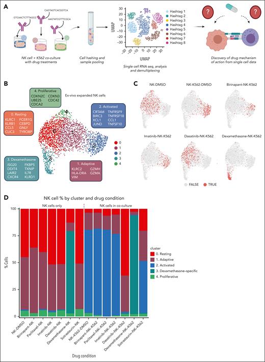 Phenotypes of NK cells identified by single-cell RNA sequencing with and without drug treatment. (A) Schematic of the single-cell sequencing experiment. (B) Uniform manifold approximation and projection (UMAP) of primary expanded NK cells from all conditions. The genes in boxes indicate marker genes for each cluster. Genes are selected from a list of differentially expressed genes based on significant P value, fold change, and biological relevance. (C) UMAPs of expanded NK cells from selected drug conditions. Dots colored light red (TRUE) represent NK cells from the respective condition, and gray dots (FALSE) represent NK cells from all other conditions. (D) Bar plot showing percentages of NK cells in each cluster by experimental/drug condition.