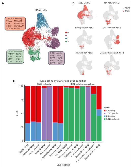 Phenotypes of K562 CML cells identified by single-cell RNA sequencing with and without drug treatment. (A) UMAP of K562 cells from all conditions. The genes in boxes indicate marker genes for each cluster. Genes are selected from a list of differentially expressed genes based on significant P value, fold change, and biological relevance. (B) UMAPs of K562 cells from selected drug conditions. Dots colored red (TRUE) represent K562 cells from the respective condition, and gray dots (FALSE) represent K562 cells from all other conditions. (C) Bar plot showing percentages of K562 cells in each cluster by experimental/drug condition.