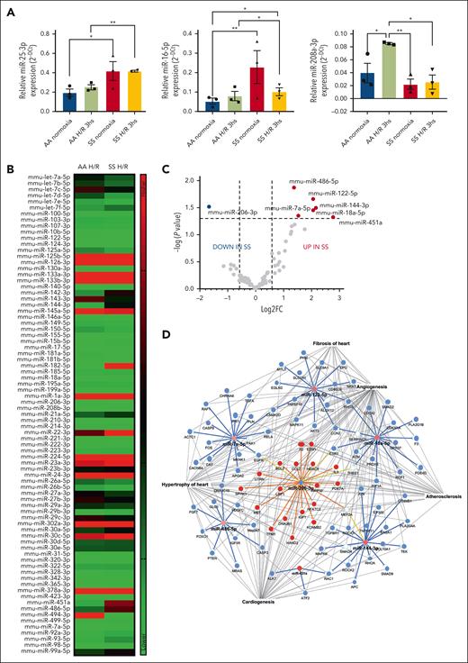 Hypoxia/reoxygenation stress modulates microRNAs in the hearts of sickle cell mice. (A) Relative expression of microRNAs from the hearts obtained from AA or SS mice under normoxia or H/R conditions. Expression of miRNAs was determined with quantitative polymerase chain reaction and normalized using U6SNRNA, RNU5G, RNU1A1, and SNORD61 as housekeeping small noncoding RNAs. Results are mean ± SEM from 3 separate mice. ∗P < .05; ∗∗P < .01 (1-way ANOVA). (B-C) Heat map and volcano plot showing fold change (FC) in the relative expression of miRNAs in the hearts of AA and SS mice under H/R compared with normoxia. Expression of microRNAs was determined (from n = 5 mice per condition). Dotted lines in the volcano plot represents cutoff values for significant (P < .05) differentially expressed (–0.58 > log2 FC > 0.58) in SS hearts under H/R compared with AA hearts under H/R. (D) IPA networks generated interrogating proteins targets of differentially expressed miRNAs in SS hearts under H/R stress.