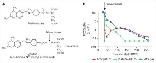 Glucarpidase mode of action. (A) Glucarpidase cleaves the glutamate residue from MTX resulting in the nontoxic metabolite DAMPA. (B) Rapid decrease of the MTX blood concentration after glucarpidase administration in a patient with osteosarcoma and acute kidney injury after HDMTX therapy. Quantification by high-performance liquid chromatography (HPLC) demonstrates an increase of the metabolite DAMPA parallel to the decrease of MTX, whereas the MTX concentration is overestimated by immunoassay (IA) measurements due to interference with the DAMPA metabolite.