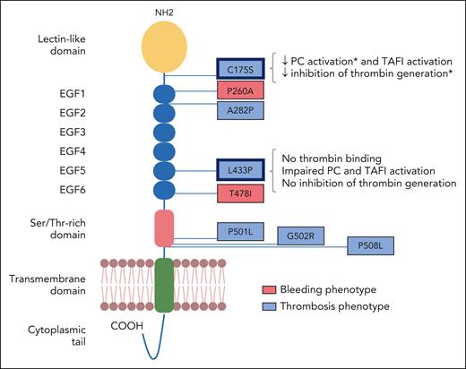 TM domain structure and positions of the investigated variants. The individual protein domains are indicated. The 8 missense variants identified in patients with bleeding (red) or venous thrombosis (blue) are annotated using the single-letter amino acid code. The detected functional alterations of the C175S and L433P variants are summarized on the right-hand side. ∗Effect only significant for the soluble mutant. Adapted from Figure 1 in the article by Van Laer et al that begins on page 1929.