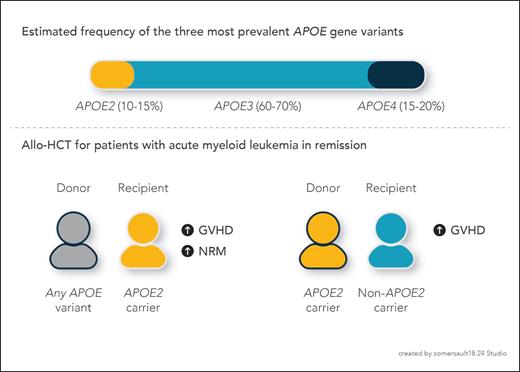 Estimation of APOE gene variant distribution5 and schematic of study findings. Carrying an APOE2 allele is a risk factor for adverse transplant outcomes when present either in the recipient or donor.1