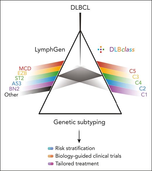 Parallel genetic classifiers now exist for DLBCL. DLBclass joins LymphGen as a classifier that assigns individual cases of DLBCL to genetic subtypes. Corresponding subtypes across the 2 classifications are shown in matching colors. The most important distinction relates to the handling of cases that cannot be classified with high confidence. The relative predictive value of each classifier will emerge from their application in future clinical trials. Image created in BioRender.com.