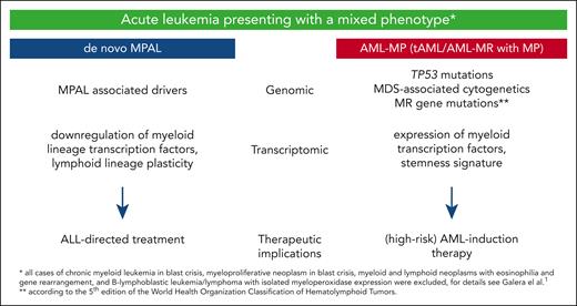 Differences of MPAL and AML-MP according to Galera et al. MDS, myelodysplasia.