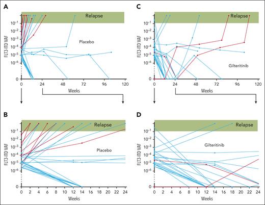 Kinetics of clonal relapse and eradication in participants with post-HCT MRD. Each line on the plots depicts a single FLT3-ITD clone detected with the MRD assay, starting with randomization. In a limited number of cases, a sample was available at relapse, analyzed with conventional capillary electrophoresis PCR, and the length of the FLT3-ITD clone was identical to the clone detected in the MRD assay. These clones are depicted with red lines. The blue lines depict cases in which the relapse specimen was not available for analysis and so the length could not be confirmed. (A) Placebo arm, from randomization to 2 years of follow-up. (B) Placebo arm, depicting only the first 24 weeks of follow-up after randomization. (C) Gilteritinib arm, from randomization to 2 years of follow-up. (D) Gilteritinib arm, depicting only the first 24 weeks of follow-up after randomization.