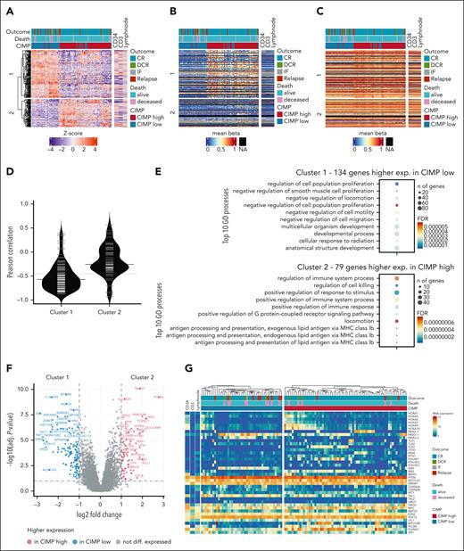 Transcriptome phenotype of CIMP-low and CIMP-high subgroups in the NOPHO ALL2008 cohort. (A) Heat map revealing the relative RNA expression of n = 213 DEG between CIMP-low (n = 43) and CIMP-high (n = 65) T-ALL samples; genes hierarchical clustering highlights a cluster 1 with higher expression in CIMP low (134 genes) and a cluster 2 with higher expression in CIMP high (79 genes). (B,C) Heat maps presenting the mean β-values of CpGs located on the promoter region (B) or on the gene body (C) of the DEG visualized in the same gene and sample order as in panel A. (D) Pearson correlation between clusters 1 and 2 gene RNA expression and their mean promoter region DNA methylation. (E) GO analysis of DEGs with higher expression in CIMP low (n = 134 genes, cluster 1) and CIMP high (n = 79 genes, cluster 2), respectively. (F) Volcano plot with highlighted n = 213 DEG in n = 108 T-ALL. (G) RNA expression (in VST counts) heat map using hierarchical clustering of 108 T-ALL samples, revealing 40 selected genes relevant in T-ALL biology or differentially expressed between CIMP-low and CIMP-high subgroups. Sorted CD34+ and CD3+ T cells and lymph node are illustrated as normal cell types in the heat maps. DEG, differentially expressed gene; GO, gene ontology.