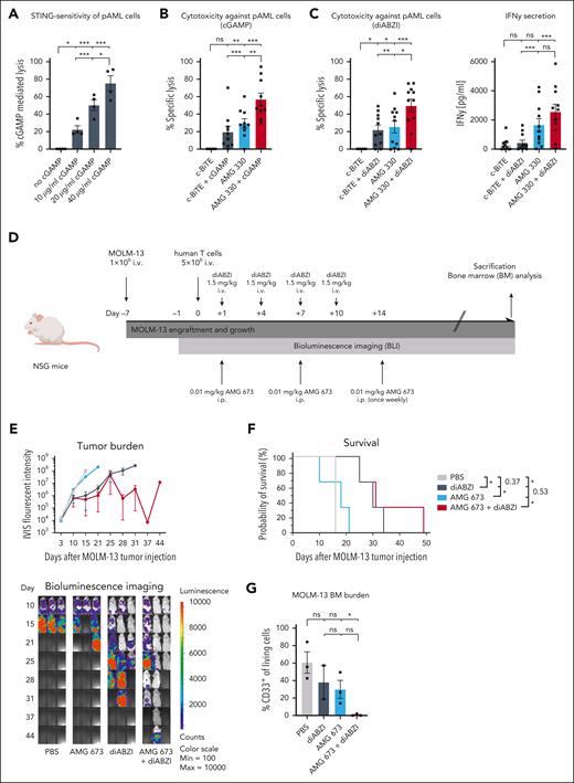 Combination of STING agonism and CD33-directed T-cell–engaging molecules efficiently eliminates pAML cells and shows superior in vivo efficacy. (A) Flow cytometric analysis of cGAMP-mediated cytotoxicity after 48 hours against pAML cells (n = 4). (B) Flow cytometric analysis of AMG 330–mediated (0.5 ng/mL) cytotoxicity after 48 hours against pAML cells in cocultures with human T cells (E:T, 1:10; n = 10). Specific lysis was calculated relative to the c-BiTE condition. The concentration of added cGAMP in cocultures was 10 μg/mL. (C) Flow cytometric analysis of AMG 330–mediated (0.5 ng/mL) cytotoxicity after 48 hours against pAML cells in cocultures with human T cells (E:T, 1:10; n = 11). The concentration of added diABZI in cocultures was 1 nM. Corresponding levels of secreted IFN-γ as determined by CBA analysis are shown. (D) Timeline and overview of the AML xenograft model. Injections are indicated with arrows (n = 3 mice per group). (E-F) Tumor burden was analyzed by bioluminescence imaging, and probability of survival is depicted after Kaplan-Meier analysis. (G) MOLM-13 tumor burden in the bone marrow of mice was analyzed by flow cytometric analysis at the time of euthanasia. Means ± SEM are presented. Statistical analysis was performed using the ordinary 1-way ANOVA with the Tukey comparison or the Kaplan-Meier analysis with the Mantel-Cox test (panel F). ns, P > .05; ∗P < .05; ∗∗P < .01; ∗∗∗P < .001. E:T, effector-to-target ratio; i.p., intraperitoneal; ns, not significant.