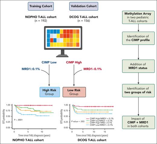 Epigenetic-based stratification in pediatric T-ALL. In this study the authors performed array-based methylome analysis in pediatric T-ALL issued from 2 pediatric cohorts: the Nordic NOPHO AALL2008 (n = 192) and the Dutch DCOG ALL10/11 (n = 156). The authors identified 2 distinct epigenetic phenotypes, namely, CIMP low and high, and demonstrated the prognostic relevance of this CIMP classification, identifying both high-risk and low-risk groups of patients when combined with MRD status at the EOI. Created with BioRender.com.