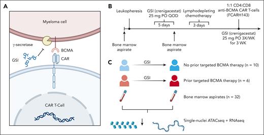 Overview of study design. (A) GSI increase antigen density on MM cells by inhibiting γ-secretase–mediated cleavage of BCMA, thereby improving recognition of anti-BCMA CAR T-cell therapy for MM. (B) Timeline of a prior phase 1 clinical trial that assessed the safety of GSI for patients with MM receiving anti-BCMA CAR T-cell therapy, serving as the source for our study samples. (C) The design of this study was to interrogate the bone marrow microenvironment using single-cell multiome ATAC plus gene expression of 16 clinical trial patients before and after exposure to 3 doses of oral GSI (crenigacestat). QOD, every other day.
