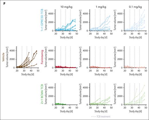 Benchmarking of forimtamig against other TCBs in preclinical models of MM. (A-B) Fresh bone marrow aspirates from patients with NDMM were depleted of CD138+ plasma cells and cocultured with RPMI-8226 (6 samples enrolled), MOLP-8 (9 samples enrolled), or AMO-1 (12 samples enrolled) tumor cells with a wide range of GPRC5D and BCMA RDs at a final E:T ratio of 5:1 in the presence of increasing concentrations of forimtamig, 1+1 GPRC5D TCB, 2+1 BCMA TCB, or an untargeted TCB control antibody at 0.007 nM; expression of CD25 on CD8 TILs was measured by flow cytometry after 48 hours; baseline CD25 expression, as detected by an untargeted TCB control, is represented by the horizontal black dotted line; cytokine secretion was analyzed in the supernatant of T-cell–myeloma cell line cocultures after 36 hours; graphs summarizing the mean + standard error of the mean (SEM) expression and statistics between groups were determined by 1-way ANOVA with Tukey posttest analysis. ∗P < .05; ∗∗P < .005; ∗∗∗P < .0005; ∗∗∗∗P < .0001. (C-D) Total BM cells from 9 patients with NDMM were cultured in the presence of increasing concentrations of forimtamig, 1+1 GPRC5D TCB, 2+1 BCMA TCB, or an untargeted TCB control at 0.007 nM; expression of CD25 on CD4 and CD8 TILs was measured by flow cytometry after 36 hours; baseline CD25 expression, as detected by an untargeted TCB control, is represented by the horizontal black dotted line; and graphs summarizing the mean + SEM expression and statistics between groups were determined by 1-way ANOVA with Tukey posttest analysis. ∗P < .05; ∗∗P < .005; ∗∗∗P < .0005. (E) Total BM cells from 13 patients with NDMM were cultured in the presence of the indicated concentration of TCBs for 36 hours; graphs summarizing the mean + SEM depletion of MMPCs as calculated by the frequency of CD38+CD138+ double-positive cells in relation to untreated TCB control; graphs summarizing the mean + SEM expression and statistics between groups were determined by 1-way ANOVA with Tukey posttest analysis. ∗P < .05; ∗∗P < .005; ∗∗∗P < .0005. (F) Humanized NSG mice (huNSG) were subcutaneously implanted with 2.5 × 106 NCI-H929 tumor cells and when tumors reached 200 to 250 mm3 injected once a week IV with indicated TCB doses; tumor growth was measured over time using caliper and was plotted as individual spider plots for each of the 9 animals per group; animals treated with 2+1 BCMA TCB at 10 mg/kg were taken down after 2 cycles as they reached predefined termination criteria (see “Materials and methods”). TNFα, tumor necrosis factor α.