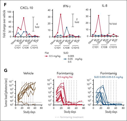 Evaluation of forimtamig’s mode of action in an orthotopic mouse model of MM. (A) Luciferase-labeled NCI-H929 cells were injected into the femur of humanized NSG (huNSG) mice and randomized into 4 different treatment arms based on bioluminescent signals measured as photons per second (p/s); animals were treated once weekly with indicated doses of forimtamig and tumor growth was monitored over time; background signals were determined in nontumor-bearing mice; each group included 10 animals and is presented as mean + SEM. (B) Orthotopically engrafted huNSG mice (n = 5) were treated once weekly with 0.1 mg/kg forimtamig and sBCMA levels were detected in serum of animals before, 4, 24, 48, 72, and 168 hours after dosing using enzyme-linked immunosorbent assay (ELISA). (C-E) Orthotopically engrafted humanized mice (n = 40) were treated once weekly with 0.1 mg/kg forimtamig; BM, blood and serum were harvested from n = 5 animals at 4, 24, 48, 72, and 168 hours, after C1 and C2 dosing, and subjected to fluorescence-activated cell sorting (FACS) or cytokine analysis; CD8 T-cell counts in the tumor tissue (right femur) were normalized against CD8 counts from healthy BM from the same animal (left femur); naïve CD8 T cells were defined as CD62L+CD45RA+ and effector memory T cells as CD4RA−CD62L−. (F) Orthotopically engrafted huNSG mice (n = 15 animals per group) were treated once weekly with 0.5 mg/kg forimtamig flat or 0.005, 0.05, and 0.5 mg/kg SUD at C1D1, C1D8, and C1D15; serum was harvested from n = 5 animals at 10 minutes, 4 hours, and 72 hours after dosing and cytokine levels were measured by bioplex; and fold change in cytokine release was calculated by normalization to vehicle animals at the same time points. (G) Orthotopically engrafted huNSG mice (n = 15 animals per group) were treated once weekly with 0.5 mg/kg forimtamig flat or 0.005, 0.05, and 0.5 mg/kg SUD at C1D1, C1D8, and C1D15, and tumor monitored over time by bioluminescence imaging; and background signals were determined in nontumor-bearing mice. TNF-α, tumor necrosis factor α.