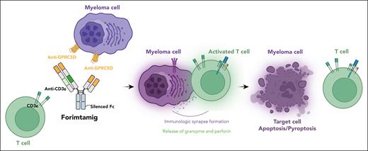 A schematic representation of the forimtamig structure and mode of antimyeloma action. Figure generated using BioRender.com.