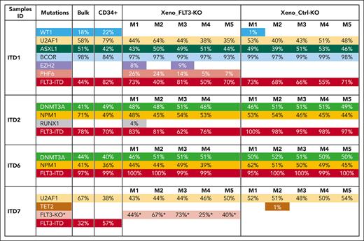 Mutational composition of bulk blasts, CD34+cells, and xenografted samples