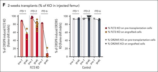 FLT3-KO prevents engraftment of FLT3-ITD LSCs but not of FLT3-WT LSCs. (A) Overview of the in vivo assay of FLT3-KO in AML. (B) Human engraftment of leukemic samples at 12 weeks, in sublethally irradiated NSG female mice injected with FLT3-KO or control gene (OR2W5)-KO cells; the experiment with sample ITD 3 was humanely terminated at 8 weeks; 4 to 10 mice per condition; results refer to the percentages of engraftment in the femurs that were originally injected with the cells (injected femur). (C) KO percentage in the cells pretransplantation (pre-T) and in the engrafted (graft) cells from the FLT3-KO group (top) and control group (bottom), corresponding to the experiment in panel B, determined by Sanger sequencing and indel analysis. (D) FLT3-ITD allele ratio (ITD/WT) determined by polymerase chain reaction (PCR) and capillary electrophoresis in AML samples with FLT3-ITD mutation (ITD1-7), in the bulk sample and in CD34+ sorted population. (E) FLT3-ITD allele ratio (ITD/WT) in AML samples ITD1, 2, 6, and 7, in the bulk sample, CD34+ sorted population and 12-week engrafted samples. (F) Short-term (2 weeks) transplants of ITD-mutated AMLs (ITD1, 2, and 6) in sublethally irradiated NSG female mice, KO percentage in the cells pre-T and in the engrafted (graft) cells from FLT3 KO (left) and control groups (right), determined by Sanger sequencing and indel analysis; experiment with ITD2 was performed 3 times, whereas experiments with ITD1 and ITD6 were performed once; results refer to the injected femur; in the engrafted samples (graft) each symbol represents 1 mouse; engraftment levels are depicted in supplemental Figure 1H. Positive engraftment was considered if ≥0.1% human cells. Unpaired Student t test: ∗P < .05; ∗∗P < .01; ∗∗∗P < .001; ∗∗∗∗P < .0001; mean ± standard deviation values are reported in the graphs. ns, nonsignificant.