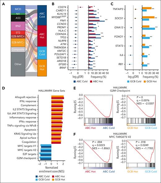 Genomic features associated with DLBCL-IQs. (A) Alluvial plot showing overlap between LymphGen subtypes and DLBCL-IQs. (B) Forest plot showing genetic alterations recurrently associated with ABC hot or ABC cold DLBCLs. (C) Forest plot showing genetic alterations recurrently associated with GCB hot or GCB cold DLBCLs. (D) Bar plot of GSEA showing gene sets significantly enriched in each immune-related cluster. (E) GSEA plots showing upregulation of G2M target gene sets in ABC cold and GCB cold DLBCLs. (F) GSEA plots showing upregulation of MYC checkpoint-related genes in ABC cold and GCB cold DLBCLs. The Fisher exact test with BH-adjusted P values is displayed. ∗adjusted P < .1; ∗∗adjusted P < .05. BD, Benjamini-Hochberg; ES, enrichment score; NES, normalized enrichment score; OR, odds ratio.