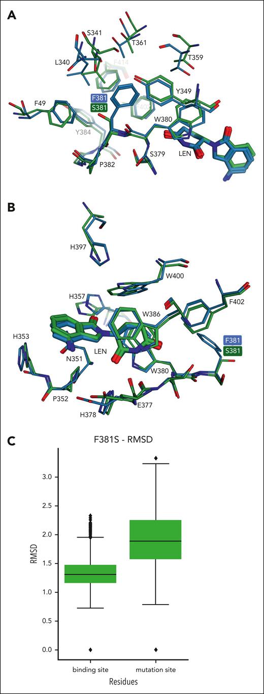 Analysis of conformational changes predicted by MD simulations of the p.F381S CRBN construct. (A) Conformations of residues located in the surroundings of the p.F381S mutation are shown in the representative conformation from MD simulations of the mutant construct (C atoms in green) compared with the crystal structure of WT CRBN (C atoms in light blue). (B) A similar comparison focused on Len binding site shows smaller deviations mainly for residues exposed to the solvent (eg, H357, H397, W400). (C) Distribution of RMSD values calculated on MD simulations of the p.F381S construct for residues located in both binding site and mutation site (5 Å from Len and the mutated residue, respectively).