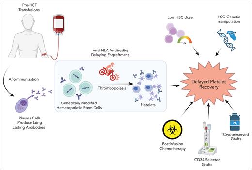 Risk factors for delayed platelet recovery after HCT. HSC, hematopoietic stem cell. Figure created with BioRender.com.