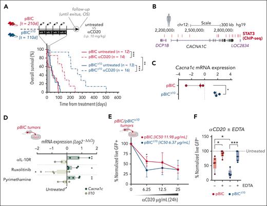 Lymphoma-derived IL-10 regulates the expression of L-type Ca2+ channels and associates with worse responses to conventional CD20 immunotherapy. (A) Comparison of survival curves (log-rank test) between pBIC and pBICΔ10 mice, either untreated or treated with anti- (α)CD20, after normalizing the time measurements to the initiation of treatment. (B) Genome Browser representation of STAT3-binding sites identified by ChIP-seq in human ABC-DLBCL cells (GSE10684434). (C) Expression of Cacna1c by RNA-seq (log counts per million (logCPM) in FACS-sorted lymphoma cells (B220+GFP+) from pBIC and pBICΔ10 tumors (t test). (D) Expression of Cacna1c and Il-10 by RT-qPCR in pBIC lymphoma cells after 24-hour ex vivo treatment with 10 μg/mL of αIL-10R and concentrations slightly rounded over IC50 of ruxolitinib (100 μM) or pyrimethamine (200 μM; n = 3), as calculated in Figure 1E. Expression of each gene in untreated cells was used for normalization (ANOVA). (E) Normalized cell viability assays of pBIC/pBICΔ10 lymphoma cells (GFP+ 7AAD–) studied by flow cytometry after 24 hours of ex vivo culture with increasing doses of αCD20 (t test), or (F) after 6 hours in the presence of 12.5 μg/mL of αCD20 with or without 20 mM of EDTA (n = 3; ANOVA). ∗P < .05; ∗∗P < .01; ∗∗∗P < .001; ChIP-seq, chromatin immunoprecipitation-seq; h, hours; i.p., intraperitoneal; mRNA, messenger RNA; wk, week; OS, overall survival.