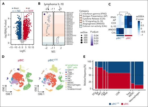 Transcriptomic analyses identify lymphoma-derived IL-10 as key immunomodulator of DLBCL microenvironment. (A) Volcano plot of differentially expressed genes between pBICΔ10 vs pBIC FACS-sorted B220+GFP+ lymphoma cells (supplemental Table 2). (B) GSEA comparing pBICΔ10 and pBIC lymphoma cells, highlighting significantly enriched and depleted gene signatures (supplemental Table 3). Functional categories are displayed and grouped by color, based on differential expression analysis of RNA-seq data. (C) Gene signatures summarizing the functional categories found in panel B (supplemental Table 4) were used in single-sample GSEA (ssGSEA) and correctly cluster pBIC and pBICΔ10 mice. (D) t-distributed Stochastic Neighbor Embedding (t-SNE) graph of an integration of 18 343 cells from 1 representative pBIC and pBICΔ10 murine lymphoma. (E) Mosaic plot displaying the distribution of cell types defined by scRNA-seq in pBIC vs pBICΔ10 lymphomas. The width of each cell type bar represents the proportion of that cell type within the total sample population, whereas the height indicates the relative frequency of that cell type between the 2 lymphoma models. NES, normalized enrichment score.