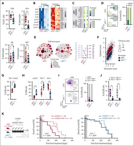 Lymphoma-derived IL-10 prevents the burnout of CD8+ TILs and predicts responses to immune-checkpoint blockade. (A) Overall percentage of CD8 (from total CD3 lymphocytes), DCs, NK, and NKT (from total splenocytes) cells by flow cytometry in pBIC and pBICΔ10 tumors (t test). (B) Heat map (z scores) of chemokines involved in the attraction of CD8/NK/DCs cells (left) and MHC-I and -II antigen-presenting genes (right), derived from RNA-seq analysis of FACS-sorted lymphoma cells (B220+GFP+) from pBIC and pBICΔ10 tumors. (C) Dot plot based on scRNA-seq data showing scaled expression levels of pDC or cDC2 marker genes in the dendritic cell population infiltrating pBIC and pBICΔ10 tumors. (D) t-SNE distribution (left) and proportion of each DC subtype (from total DCs, right) detected by scRNA-seq in pBIC and pBICΔ10 tumors. (E) Bubble plot of CD8 TCR repertoire identified by scTCR-seq in the same pBIC and pBICΔ10 tumors submitted to scRNA-seq (supplemental Figure 4A). Each bubble represents a unique TCR clonotype, sized and colored according to cell count abundance (hits). Shannon index for evaluation of relative TCR diversity and Gini index for evaluation of TCR diversity are shown. (F) Scatterplot of cytotoxic and exhaustion programs within each CD8 clonotype from scTCR-seq showing a trend toward an exhaustion state in pBICΔ10 TCRα/β-CDR3 clonotypes. (G) Overall percentage of double-positive PD-1+LAG3+ CD8 T cells by flow cytometry (t test). (H) Proportion of CD8 cells with the highest expression of LAG3 or PD-1; and overall percentage of IFN-γ+ secretor cells by flow cytometry of pBIC and pBICΔ10 tumors (t test). (I) Proportion of Tcf1/Pd1 populations detected by scRNA-seq within the CD8+ T-cell compartment. (J) Overall percentage of TCF-1+ (int, intermediate, or high) by flow cytometry within pBIC and pBICΔ10 tumor-infiltrating CD8+ cells (ANOVA). (K) In vivo regime for αCD20 either in monotherapy or in combination with αPD-1; and associated survival curves from the time of treatment in pBIC and pBICΔ10 mice (log-rank test). ∗∗P < .01; ∗∗∗P < .001; d, days; hi, high; i.p., intraperitoneal; int, intermediate; ns, nonsignificant; wk, week.
