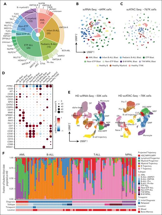 The landscape of developmental arrest states across acute leukemia subtypes. (A) Patient cohort across leukemia subtypes. (B-C) Overall UMAPs of all scRNA-seq cells (B) and scATAC-seq cells (C) from 96 leukemia samples, colored by major cell types. (D) Bubble plot of manually curated marker genes for leukemic blasts and healthy cells. Color represents scRNA-seq z score. Bubble size represents the percentage of cells expressing a marker in a given population. (E) UMAPs of healthy human hematopoiesis based on scRNA-seq (left) and scATAC-seq (right) data from healthy donor (HD) samples of pediatric bone marrow13 and thymus.14 Cell type annotation for scATAC-seq data was label-transferred from scRNA-seq data. (F) Fractions of leukemic blasts projected onto stem/progenitor, T-lineage, B-lineage, and myeloid-lineage trajectories using healthy reference data. Clinical information of each patient is shown at the bottom. B-M, B-myeloid; CLP, common lymphoid progenitor; DP, double positive T cells; GMP, granulocyte monocyte progenitor; iB-ALL, infant B-ALL; LMPP, lympho-myeloid primed progenitor; MEP, megakaryocyte erythroid progenitor; MPP, multipotent progenitor; pB-ALL, pediatric B-ALL; pDC, plasmacytoid dendritic cells; T-M, T-myeloid; T/NK, T/natural killer cells; UMAP, Uniform Manifold Approximation and Projection.