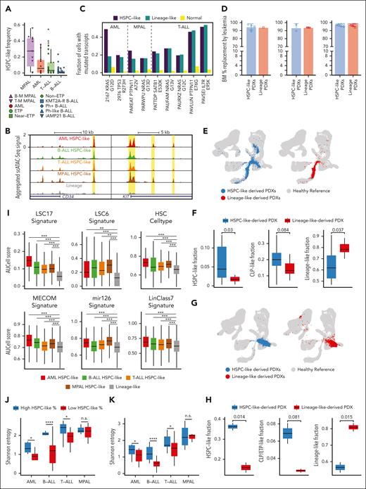 HSPC-like leukemic blasts are commonly observed across high-risk acute leukemias. (A) Fraction of leukemic blasts projected as stem/progenitor-like cells based on scRNA-seq in 4 leukemia subtypes. (B) Genomic tracks of scATAC-seq signal at CD34 (left) and KIT (right) loci in stem/progenitor-like and lineage-like leukemic blasts. Cis-regulatory elements are highlighted in yellow. (C) Fractions of mutant cells detected in HSPC-like, lineage-like blasts, and healthy cells based on 9 recurrent mutations (supplemental Table 4). Mutations in single cells were identified using the Genotyping of Transcriptomes assay. Patient IDs are added in front of the mutation name. (D) Percentage of BM replacement by leukemia blasts in 3 PDX models: T-myeloid MPAL (HSPC-like PDXs n = 4; lineage-like PDXs n = 2; left), ETP-ALL (HSPC-like PDXs n = 2; lineage-like PDXs n = 2; middle), and B-ALL (HSPC-like PDXs n = 8; lineage-like PDXs n = 8; right). Sorted cells (HSPC-like or lineage-like; supplemental Figure 4D-F) were used for the transplant experiments. (E,G) UMAPs show the projections of PDX cells derived from sorted HSPC-like (left) and lineage-like (right) primary leukemic blasts from B-ALL (E) and ETP-ALL (G). Gray dots represent cells from HDs, blue dots cells from HSPC-like derived PDX, and red dots cells from lineage-like derived PDX. (F,H) Fractions of PDX cells projected to particular populations for B-ALL (HSPC-like-derived PDXs n = 8, lineage-like-derived PDXs n = 8) (F) and ETP-ALL (HSPC-like-derived PDXs n = 2; lineage-like-derived PDXs n = 2) (H). Left, HSPC-like; middle, CLP-like; right, lineage-like. P values were computed using the Student t test. (I) Stemness gene signature scores for stem/progenitor-like and lineage-like leukemic blasts in all subtypes. Scores were calculated using AUCell. P values were computed using the Student t test. ∗∗P < .001; ∗∗∗P < .0001. (J-K) Box plots of Shannon entropy scores computed on the basis of scRNA-seq (J) and scATAC-seq (K) projected populations in each patient. Samples with high HSPC-like percentages represented the top 50% of HSPC-like fractions in each disease group, whereas samples with low HSPC-like percentages represented the bottom 50% of HSPC-like fractions in each disease group. P values were computed using the Student t test. ∗P < .05; ∗∗∗∗P < .0001. BM, bone marrow; B-M, B-myeloid; CLP, common lymphoid progenitor; n.s., not significant; T-M, T-myeloid; UMAP, Uniform Manifold Approximation and Projection.