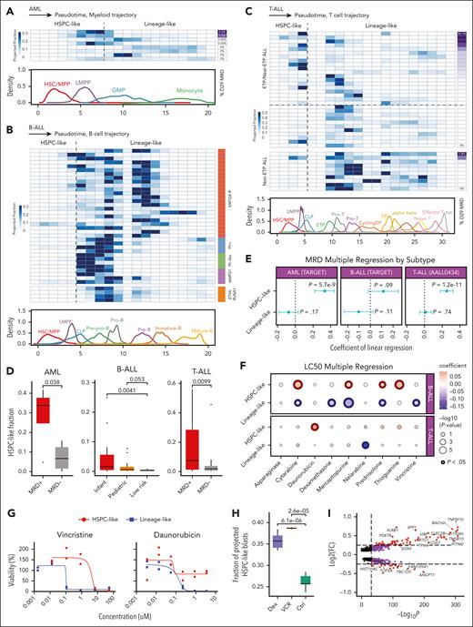 HSPC-like leukemic blasts are resistant to chemotherapy in acute leukemias. (A-C) Frequencies of developmental arrest stages of leukemia blasts across leukemia subtypes. Each developmental pseudotime trajectory from HSC/MPP to terminally differentiated population is ordered in 20 bins. Heat maps show the frequencies of each bin from individual patients: AML (n = 10) (A), B-ALL (n = 35) (B), and T-ALL (n = 40) (C). Dashed vertical lines delineate the division between multipotent stem/progenitor-like population and lineage-like populations for each lineage. Bottom line plots show the frequency of each developmental stage along the pseudotime trajectories using HD data: myeloid lineage (A), B-cell lineage (B), and T-cell lineage (C). Legends on the right side show the percentage of MRD for AML and T-ALL or genetic subtypes for B-ALL. (D) Box plots showing the frequencies of HSPC-like blasts in MRD+ vs MRD– patients (AML and T-ALL) or in high-risk vs low-risk subtype (B-ALL) patients in the single-cell data of this study. P values were computed using the Student t test. (E) Association between frequency of HSPC-like/lineage-like blasts and EOI MRD values after induction chemotherapy in AML, B-ALL, and T-ALL based on multiple linear regression (supplemental Methods). Error bars show the 95% confidence interval of regression coefficient. The frequencies of HSPC-like and lineage-like blasts were computed using CIBERSORT and bulk RNA-seq data from the National Cancer Institute’s TARGET (AML, B-ALL) project, and the Children’s Oncology Group AALL0434 trial (T-ALL). (F) Association between frequency of HSPC-like/lineage-like blasts and LC50 of 9 conventional chemotherapy drugs. The color of the dots represents regression coefficients and the size of the dots represents the –log10(adjusted P value of regression coefficient). The frequencies of HSPC-like and lineage-like blasts were computed using CIBERSORT. LC50 data and corresponding bulk RNA-seq data sets were downloaded from Lee et al.39P values were computed using the Student t test and adjusted for multiple testing using the Benjamini-Hochberg method. Significant associations are indicated with a circle with thicker borders. (G) Drug response curves showing the different response to conventional chemotherapy drugs between HSPC-like derived (n = 2) and lineage-like derived PDX cells (n = 2). (H) Frequencies of HSPC-like blasts from PDX treatment groups based on PDX treatment scRNA-seq data. Sample numbers: dexamethasone (Dex) n = 5; vincristine (VCR) n = 2; untreated controls n = 7. P values were computed using the Student t test. (I) Volcano plot showing the DEGs comparing dexamethasone-treated PDXs and control PDXs based on scRNA-seq data. Red dots represent the genes with adjusted P value <.05 and abs(log2FC) > 0.25; purple dots represent the genes with adjusted P value < .05 only; black dots represent the nonsignificant genes. CLP, common lymphoid progenitor; Ctrl, control; DP, double positive T cells; GMP, granulocyte monocyte progenitor; LC50, lethal concentration 50%; LMPP, lympho-myeloid primed progenitor; MPP, multipotent progenitor; NK, natural killer; TNF, tumor necrosis factor.