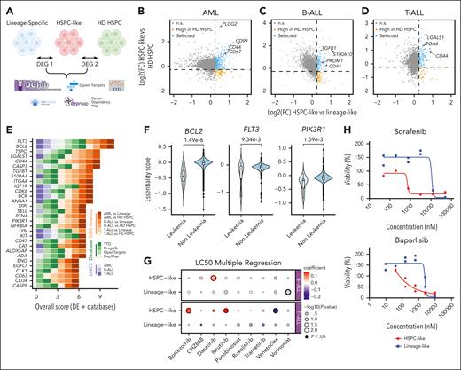 Identification of drug targets against HSPC-like blasts. (A) Schema for in silico drug screening. DEG 1: DEGs from comparison between HSPC-like and lineage-like blasts; DEG 2: DEGs from comparison between HSPC-like blasts and normal HSPCs. (B-D) Scatterplots showing the log2FC of DEGs based on scRNA-seq data in this study for AML (B), B-ALL (C), and T-ALL (D). (E) Overall scores of top 30 genes with known drugs based on the in silico screening. The type of supporting evidence is color-coded. (F) DepMap essentiality scores for BCL2, FLT3, and PIK3R1 in leukemia cell lines and nonleukemia cell lines, respectively. P values were computed using the Student t test. (G) Dot plot of association between subpopulation frequencies and IC50 values. The color of the dots represents regression coefficients and the size of the dots represents the –log10(adjusted P value of regression coefficient). The frequencies of HSPC-like and lineage-like blasts were computed using CIBERSORT. LC50 data and corresponding bulk RNA-seq data sets were downloaded from Lee et al.39P values were computed using the Student t test and adjusted for multiple testing using the Benjamini-Hochberg method. Significant associations are highlighted with circles with thicker borders. (H) Drug response curves showing the different response to FLT3i (sorafenib) and PI3Ki (buparlisib) between HSPC-like derived (n = 2) and lineage-like-derived (n = 2) PDX cells. DE, differentially expressed genes; IC50, 50% inhibitory concentration;LC50, lethal concentration 50%; n.s., not significant; TTD, Therapeutic Target Database. The logos at the bottom of panel A are reused under Creative Commons licenses.