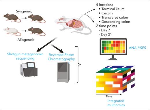 Outline of the experimental design of the study by Lauder et al.