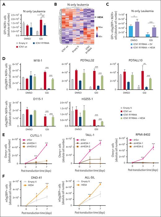 The HES4 gene is required to maintain growth of established T-cell leukemias. (A) Flow cytometric analysis of GFP+ NGFR+ cell abundance in NOTCH1-ΔE–derived (N-only) established CB leukemias, transduced with lentivectors encoding the wt intracellular Notch1 domain (ICN1), the ICN1-R1984A dimer mutant, or the EV as control, together with a truncated nerve growth factor receptor (tNGFR) as a marker. Two days after the transduction, the NGFR+ cells were sorted using FACS and treated with GSI Compound E (1 μM) or dimethyl sulfoxide (DMSO) as mock control for 4 days. The absolute cell numbers were calculated using an internal beads-based control. The mean values of duplicate experiments are plotted. ∗∗P < .01 (2-way ANOVA). (B) Heat map and hierarchical clustering based on the normalized values of gene expression RNA-seq data derived from human ICN1 (WT), ICN1-R1984A (R1984A), and EV N-only established CB leukemia cells as reported in panel A. Differentially expressed genes, scaled to mean = 0 and SD = 1, are represented (adjusted P value ≤.1). (C) Flow cytometric analysis of GFP+ NGFR+mTagBFP2+ cell abundance of NOTCH1-ΔE-derived (N-only) established CB leukemias, doubly transduced with ICN1-R1984A/tNGFR lentiviruses and HES4/mTagBFP2 or EVs as control. The transduced cells were sorted using FACS and treated with GSI Compound E (1 μM) or DMSO as a mock control for 4 days. The absolute cell numbers were calculated with an internal beads-based control. The mean values of duplicate experiments are plotted. ∗P < .05; ∗∗∗P < .001 (2-way ANOVA). (D) Flow cytometric analysis of the NGFR+mTagBFP2+ cell abundance of PDX transduced with ICN1-R1984A/tNGFR lentiviruses alone or in combination with the HES4/mTagBFP2 vector. Cells transduced with ICN1/tNGFR or EV alone were also included as control. The transduced cells were sorted using FACS and treated with GSI Compound E (1 μM) or DMSO as mock control for 3 days. The absolute cell numbers were calculated using an internal beads-based control. The mean values of duplicate experiments are plotted. ∗∗P < .01; ∗∗∗P < .001 (2-way ANOVA). (E) Abundance of the shRNA-transduced Cherry+ cell fraction, tracked over time in culture by flow cytometry. The CUTLL-1, TALL-1, and RPMI-8402 cell lines were independently transduced with 2 different clones of shRNA/mCherry lentiviral constructs against HES4 gene or scramble control as indicated, sorted using FACS, and cultured in vitro. The graphs report the result of 3 independent experiments performed in triplicate. ∗∗∗P < .001 (2-way ANOVA). (F) Abundance of the HES4-transduced mTagBFP2+ cell fraction, tracked over time in culture by flow cytometry. The DND41 and ALL-SILL cell lines were independently transduced with the HES4/mTagBFP2 lentiviral construct or EVs as control. The graphs report the result of 3 independent experiments performed in triplicate. ∗∗∗P < .001 (2-way ANOVA).