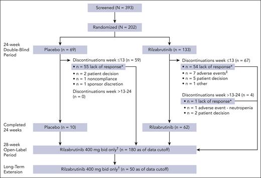 CONSORT flow diagram. ∗After 12 weeks, responders with platelet count of ≥50 × 109/L or 30 × 109/L to <50 × 109/L and at least doubled from baseline (referred to as “platelet response”) could continue blinded treatment; nonresponders could discontinue or enter the 28-week open-label period receiving rilzabrutinib 400 mg twice daily (initial treatment remained blinded). Patients who discontinued the 24-week double-blind period because of lack of response were given the option to enter the 28-week open-label period. †Includes patients who have entered as of the data cutoff. All patients in the 28-week open-label and long-term extension periods received rilzabrutinib 400 mg twice daily despite their initial treatment arm assignment. ‡Included 1 patient who discontinued because of an AE of pneumonia that was deemed unrelated to treatment per investigator judgment and lasted 16 days before rilzabrutinib was discontinued and the patient died (see the supplemental Safety Results for details). bid, twice daily.