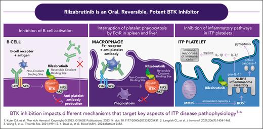 Different mechanisms of action of rilzabrutinib targeting some key aspects of ITP disease. IL-1β, interleukin 1β; MMP, matrix metalloproteinase; ROS, reactive oxydative species. Reproduced with permission from Sanofi. © 2025 Sanofi. All rights reserved.