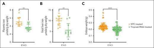 Maternal Tmprss6 silencing reduces placental and fetal iron stores and impairs embryonic growth. (A) Placental tissue nonheme iron (1 placenta per litter was tested; micromoles per gram dry weight). (B) Fetal liver nonheme iron (1 fetus per litter was tested; micromoles per gram dry weight). (C) Embryo weights (all embryos across all litters); this comparison remains significant when analyzed nested by mother (t test; P < .05). Data points depict 1 placenta or embryo per point, and capped bars denote mean ± standard deviation. Statistical differences between groups were tested by unpaired t test and are represented as follows: ∗P < .05; ∗∗P < .01; ∗∗∗P < .001; ∗∗∗∗P < .0001. ns, not significant; RNAi, RNA interference.