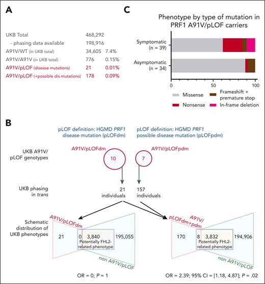 A91V/pLOF in the UKB. (A) Prevalence of various PRF1 A91V allele constellations in the UKB. Prevalence of A91V/WT and A91V/A91V is calculated for the UKB total. Prevalence of A91V/pLOF (with in trans phasing) is calculated in phased UKB individuals only. (B) Upper part shows PRF1 variants listed in the HGMD as disease mutations (pLOFdm) and possible disease mutations (pLOFpdm) and present in coinheritance with A91V in the UKB. Lower part shows distribution of potentially FHL2-related phenotypes in A91V/pLOF and non-A91V/pLOF individuals in the UKB for A91V/pLOFdm only (lower left) or disease and possible disease mutations combined (lower right, A91V/pLOFdm+pdm). Indicated is the OR and 95% CI for an individual with A91V/pLOF genotype to be located in the target group of potentially FHL2-related phenotypes. (C) Phenotype by type of PRF1 pLOF mutation in trans to A91V. Percentage distribution of 39 symptomatic A91V/pLOF carriers and 34 asymptomatic A91V/pLOF carriers (13 in clinical cohort and 21 in the UKB with HGMD disease mutation in trans to A91V). 95% CI, 95% confidence interval; OR, odds ratio.