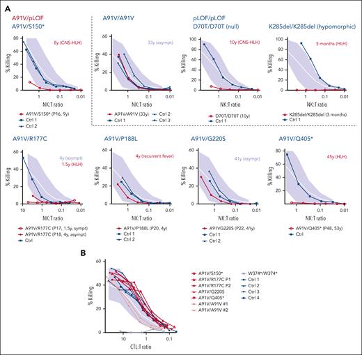 Cytotoxicity of A91V/pLOF cytotoxic lymphocytes. (A) NK-cell cytotoxicity assessed by 51Cr release of peripheral blood mononuclear cells (PBMC) incubated with K562 target cells for 4 hours. The NK-to-target ratio(NK:T) was calculated after flow cytometric quantification of NK cells among PBMC. Spontaneous release was <15%. Experiments were performed in HLH-free episodes of patients with the indicated genotypes in comparison to nonsequenced healthy controls (Ctrl; dark blue). Patient identification numbers are shown in parentheses below the panels. Age of onset of clinical manifestations and phenotype is shown in red next to the panels. (B) CTL cytotoxicity assessed by 51Cr release of phytohemagglutinin/interleukin-2–stimulated T-cell blasts incubated with anti-CD3–labeled L1210 target cells for 4 hours. Cells from patients with the indicated genotypes were analyzed in comparison with nonsequenced healthy ctrl (dark blue). Empty circles: patients with FHL2-related phenotype. Filled circles: asympt individuals. Gray area indicates mean (white line) and 2 standard deviations of cytotoxicity obtained with T cells from healthy ctrl. Asympt, asymptomatic; CTL:T, cytotoxic T cell-to-target ratio; sympt, symptomatic.