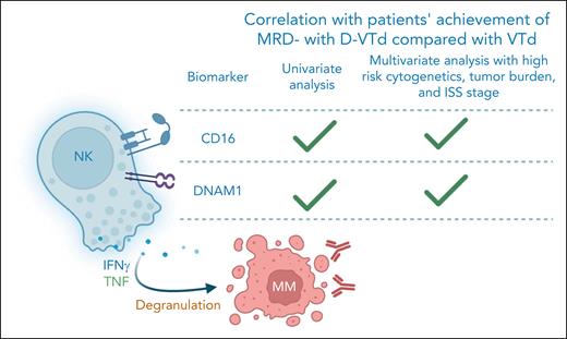 Several biomarkers on bone marrow–derived NK cells present in newly diagnosed patients before treatment have prognostic value to achievement of MRD negativity postconsolidation with a daratumumab-containing quadruplet regimen compared with standard of care. D-VTd, daratumumab plus bortezomib-thalidomide-dexamethasone; IFNγ, interferon-γ; ISS, international staging system; MM, multiple myeloma; MRD, minimal residual disease; NK, natural killer cell; TNF, tumor necrosis factor; VTd, Velcade-thalidomide-dexamethasone. Figure created with BioRender.com.