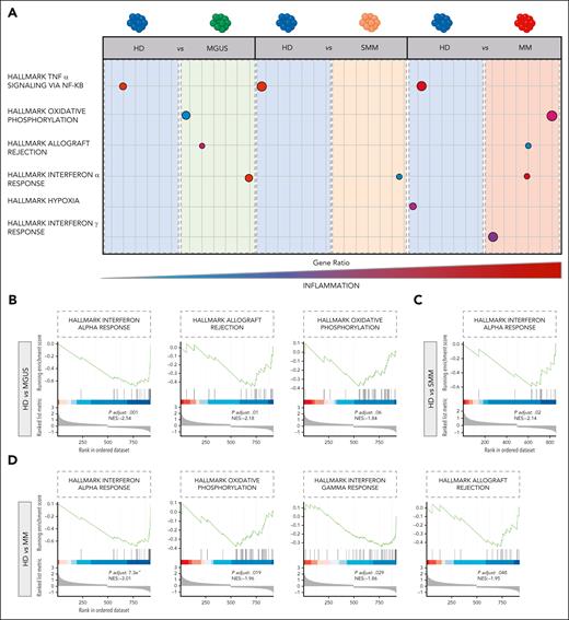 Transcriptional characterization of pPCs. (A) Cartoon depicting the deregulated expression profiles of pPCs, derived from 1:1 DE analyses by Wilcoxon test. Circle size corresponds to the number of cells in the category expressing the gene of interest, whereas shade correlates with the level of expression. Color code as in Figure 1C. (B-D) Gene set enrichment analysis (GSEA) plots depicting the enrichment of signal pathways based on the hallmark gene set. NES, normalized enrichment score.