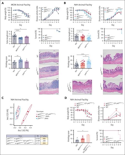 DSS colitis susceptibility in mice with CGD is driven by the intestinal microbiota. DSS-treated WT, gp91phox–/–, and p47phox–/– mice from IRCM (n = 13-22) (A), the NIH (n = 15-25) (B), and gp91phox–/– mice cross-fostered with p47phox–/– mice from the NIH (CF p47phox–/–; n = 3) (C-D) were evaluated for body weight, disease activity index, survival, colon length, and histology score. Representative distal colon sections stained with hematoxylin and eosin (original magnification ×20) are shown in panels A and B. All scale bars, 50 μm. (C) Principal coordinates analysis (PCoA) of β-diversity measured using Bray-Curtis dissimilarity for the comparison of gp91phox–/–, p47phox–/–, and gp91phox–/– (CF p47phox–/–) mice from the NIH at baseline. P values for the pairwise comparisons are shown in the table. All data are presented as means ± the standard error of the mean (SEM) from 2 to 4 independent experiments. Significance was determined using 1-way analysis of variance (ANOVA) and 2-way ANOVA with Holm-Šídák multiple comparison test. ∗P <. 05; ∗∗P < .01; ∗∗∗P < .001; ∗∗∗∗P < .0001.