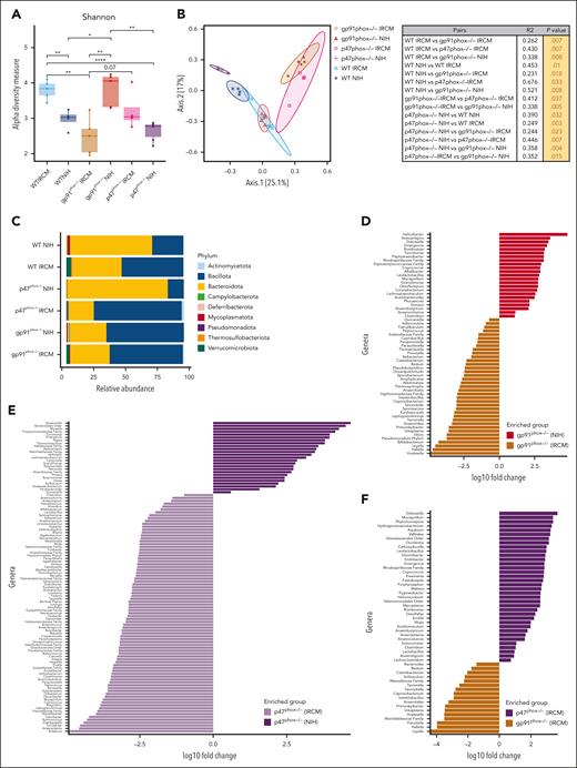Mice with CGD from 2 different animal facilities have distinct intestinal microbiome signatures. (A) Comparison of the α-diversity, as measured by the Shannon diversity index, for the WT (n = 5), gp91phox–/– (n = 5), and p47phox–/– (n = 4) mice from IRCM and the WT (n = 4), gp91phox–/– (n = 5), and p47phox–/– (n = 6) mice from the NIH at baseline. (B) PCoA of β-diversity as measured by Jaccard distances. (C) Relative abundance of phyla present in the stool from mice at baseline. EdgeR was used for the identification of specific taxonomic markers for the comparison between IRCM gp91phox–/– mice and the NIH gp91phox–/– mice (D), IRCM p47phox–/– mice and the NIH p47phox–/– mice (E), and gp91phox–/– and p47phox–/– mice from IRCM (F) showing the log10 fold changes and Kruskal-Wallis cutoffs. P ≤ .05. ∗P < .05; ∗∗P < .01; ∗∗∗P < .001; ∗∗∗∗P < .0001.