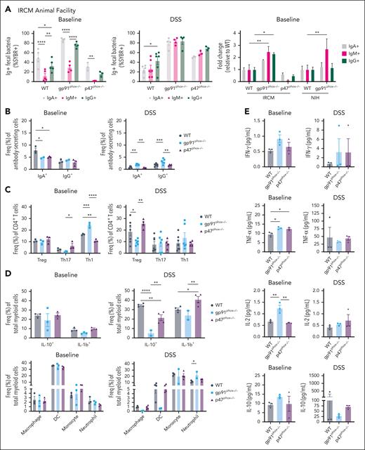 Differential CGD genotype–driven host immune responses at the intestinal barrier. Multicolor flow cytometry analysis of WT, gp91phox–/–, and p47phox–/– mice from IRCM before and after DSS treatment showing IgA, IgM, or IgG-coated bacteria (SYBR+) from mouse fecal pellets and fold change relative to WT (bar graph) (A); colon LP frequencies of IgA+ and IgG+ ASCs (CD138+) (B); Treg (FoxP3+), Th17 (RORγT+), and Th1 (T-bet+) CD4+ T cells (C); and frequencies of IL-10+, IL-1β+, myeloid cells (CD11b+, TCRb–), macrophages (F4/80+), DCs (MHCII+, CD11c+), monocytes (Ly6C+), and neutrophils (Ly6G+) (D). (E) Measurements of IFN-γ, TNF-ɑ, IL-2, and IL-10 levels in sera from WT, gp91phox–/–, and p47phox–/– mice from IRCM at baseline and after DSS treatment. The data are presented as means ± standard error of the means. All baseline data are from 1 experiment (n = 3-4 mice per group) and all DSS data are representative of 2 independent experiments (n = 3-4 mice per group). Significance was determined using 1-way and 2-way ANOVA with Holm-Šídák multiple comparison test (∗P < .05; ∗∗P < .01; ∗∗∗P < .001; ∗∗∗∗P < .0001). Freq, frequency; TNF, tumor necrosis factor; Treg, regulatory T cell.