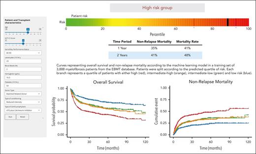 Illustration of the web-based calculator for the ML model. Risk score for a hypothetical MF patient candidate for transplantation. ATG, antithymocyte globulin.