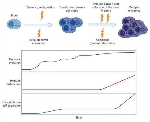 Multiple myeloma genomic and immune evolution.