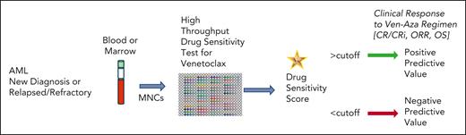 Drug sensivity score accurately predicts response to Ven-Aza. The VenEx trial1 procured blood or bone marrow samples from study subjects. Mononuclear cells (MNCs) were obtained from samples, and then subjected to an ex vivo high-throughput drug-sensitivity test in specialized media with 7 drug concentrations in 384-well plates. Multicolor flow cytometry was used to gate on the blasts with labeled antibodies to CD34, CD117, and CD45, with the viability markers 7-aminoactinomycin D and annexin V. Viability was assessed at 48 hours, and a DSS was calculated from the area under the curve (AUC). With a specific cutoff determined for venetoclax, the assay could accurately predict ORR comprised of CR or CRi or morphologic leukemia-free state (MLFS) for DSS above the cutoff or no response for DSS below the cutoff, and OS (longer for DSS above the cutoff than below). The image of the 384-well plate was obtained using iQue Forecyt software (Sartorius).