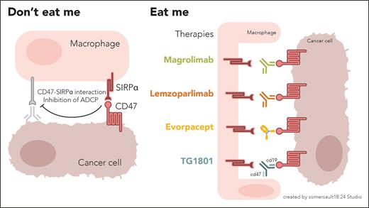 The “don’t eat me” interaction between CD47 on tumor cells and SIRPα on macrophages (and dendritic cells) allows cancer cells to evade phagocytosis. Drug development has focused on targeting CD47 via various immunotherapeutic mechanisms with the goal of allowing “eat me” signaling, and thus cancer cell recognition and clearance, to occur.
