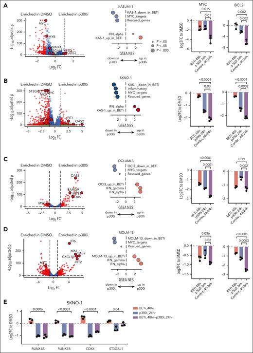 Sequential pharmacological BET inhibition followed by p300 inhibition counteracts the expression of rescued programs. (A-D) Volcano plots (left) showing RNA-Seq expression changes in the indicated cell lines after 24 hours of treatment with DMSO or p300i. Dot plots (middle) of GSEA normalized enrichment scores (NESs) and false discovery rate q value significance of the top-scoring data sets after treatment with either DMSO or p300i for 24 hours in the indicated cell lines. Analysis of qPCR expression of MYC and BCL2 in the indicated AML cell lines (right) after treatment with either DMSO (48 hours of treatment), BETi (48 hours), p300i (24 hours), or sequential BETi and p300i (48 hours/24 hours). Shown are log2 FCs normalized to DMSO-treated controls and SD from 3 biological replicates. (E) Analysis of qPCR expression of the indicated transcripts/genes in SKNO1 cells after treatment with either DMSO (48 hours of treatment), BETi (48 hours), p300i (24 hours), or sequential BETi and p300i (48 hours/24 hours). Shown are log2 FCs normalized to DMSO-treated controls and SD from 3 biological replicates. GSEA, gene set enrichment analysis.