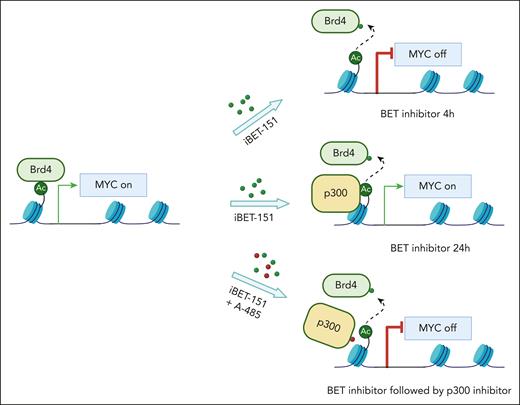 Combination of BET and p300 inhibitors mitigated BET inhibitor resistance by suppressing the expression of genes critical for AML maintenance.