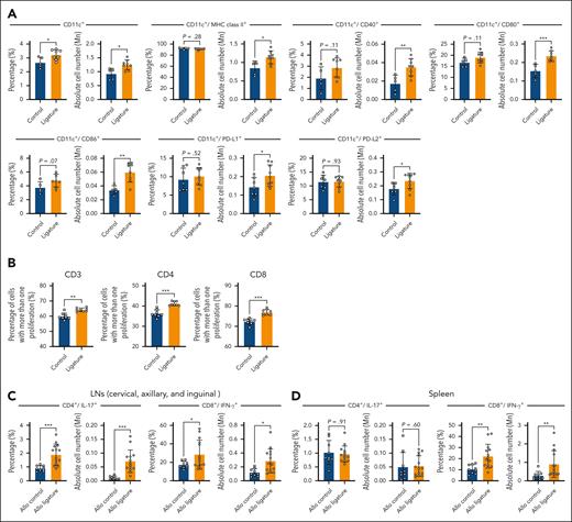 Oral dysbiosis activated cervical LN APCs before allo-HCT and systemic inflammatory T-cell responses after allo-HCT. (A) The percentage and absolute number as well as expression of activation markers in cervical LN APCs of BALB/c control or OLP mice 14 days after ligature placement (n = 5-8 per group, ∗P < .05; ∗∗P < .01; and ∗∗∗P < .001, determined by the Mann-Whitney U test). Data represent means ± SDs. (B) DCs from cervical LNs of BALB/c control or OLP mice 14 days after ligature placement were used to stimulate T cells isolated from C57BL/6 mice in mixed lymphocyte reactions (MLRs) for 48 hours. CD3, CD4, and CD8 T-cell proliferation are depicted as the percent that divided at least once determined by CellTrace violet dilution (n = 8 per group, ∗∗P < .01; and ∗∗∗P < .001, determined by the Mann-Whitney U test). Data are shown as means ± SDs. (C-D) The percentage and absolute number of CD4+/IL-17+ and CD8+/IFN-γ+ cells of BALB/c recipients from B10.D2 donor grafts at day 21 after allogeneic HCT in (C) the cervical, axillary, and inguinal LNs, and (D) the spleen are shown (n = 9-14 per group, ∗P < .05; ∗∗P < .01; and ∗∗∗P < .001, determined using a Mann-Whitney U test). Data represent means ± SDs. Panels A and B show data representative of 2 independent experiments, and panels C and D show data representative of 3 independent experiments. IFN-γ+, interferon-gamma positive; IL-17+, interleukin-17 positive.